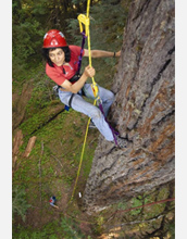 Nadkarni scales an old-growth Douglas fir tree in the Cascade Mountains to do ecological research.